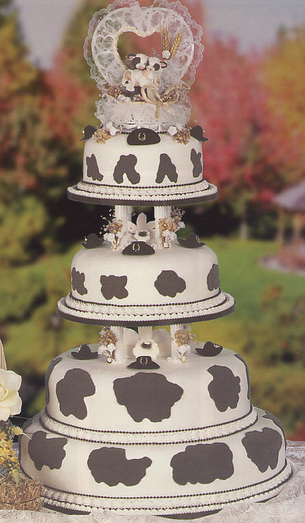 Cow cake - Coast