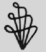line12.gif (1686 bytes)