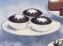 CHOCO-LOWFAT MUFFINS
